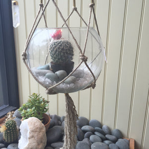 Macrame Plant Hangers